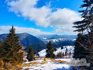 image_11