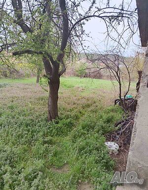 image_8