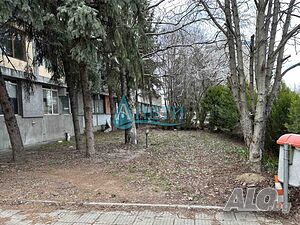 image_3