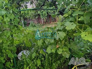 image_9