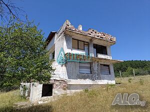 image_6