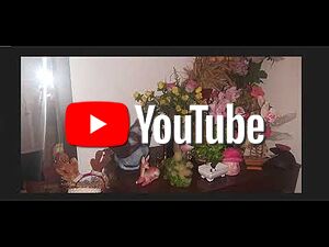 ⚜️BDSM⚜️Ms.Lady Katrin⚜️Lingam Massage⚜️