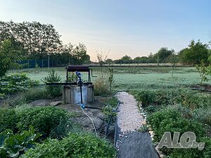 image_11
