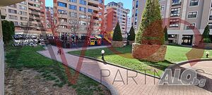 image_11