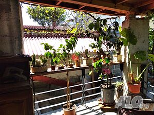 image_22