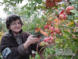 image_23