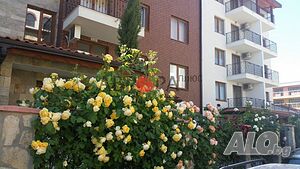 image_13