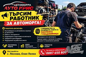 Служител в автоморга