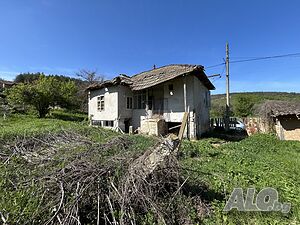 image_9