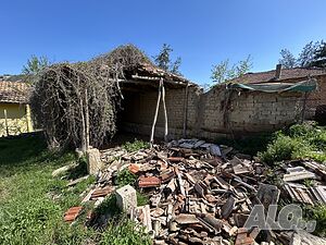image_11
