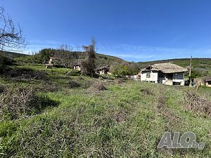 image_13