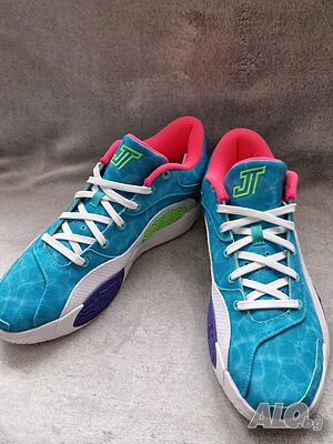 image_5