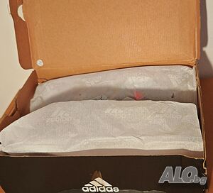 image_2