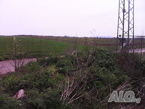 image_7