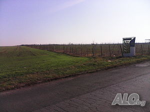 image_9