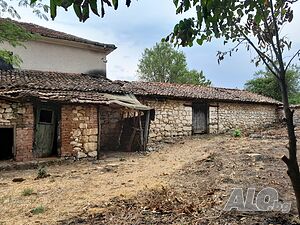 image_10