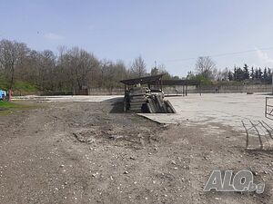 image_6