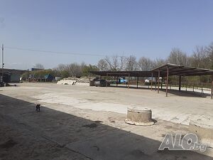 image_9