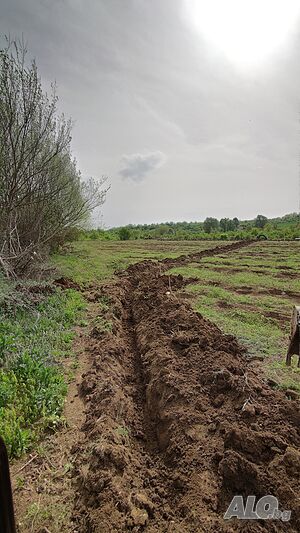 image_10
