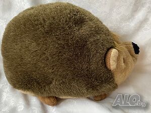 image_3