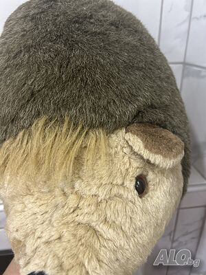 image_7