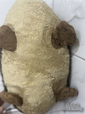 image_8