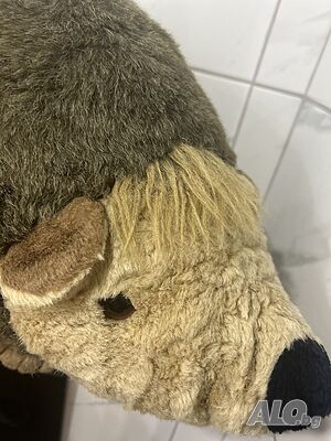 image_9