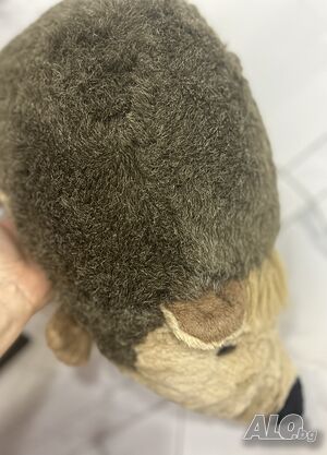 image_10