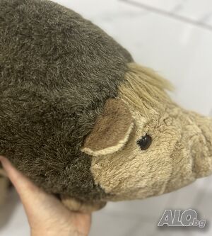 image_12