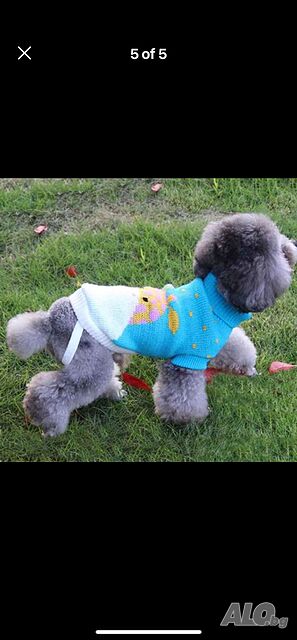 image_4