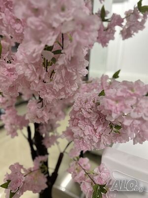 image_10