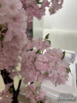 image_11