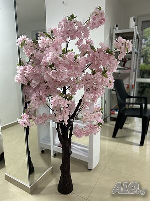 image_12