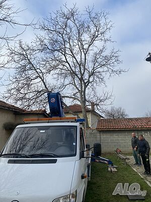image_5