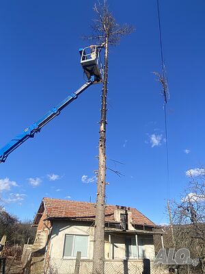 image_7
