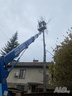 image_9