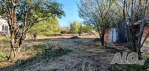 image_8