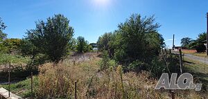 image_11