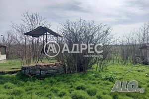 image_6