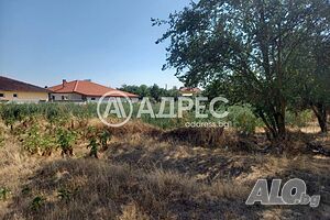 image_2