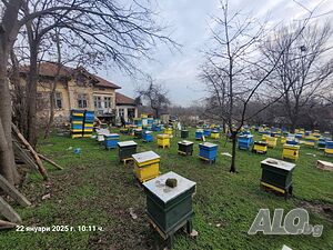 image_11