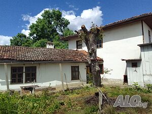 image_2