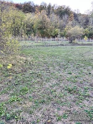 Продажба Земеделска земя гр. Велико Търново - с. Пчелище 2297m²
