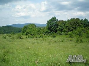Продажба Дворно място с. Чакали - 1000m²
