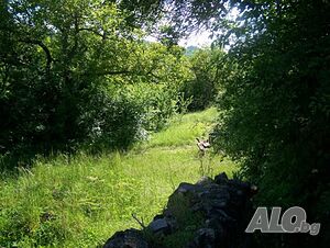 image_8