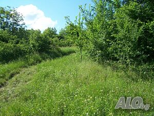 image_9