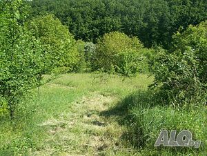 image_10