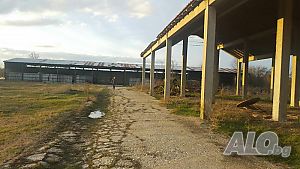 image_6