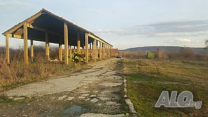 image_7