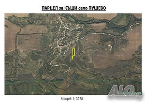 image_7